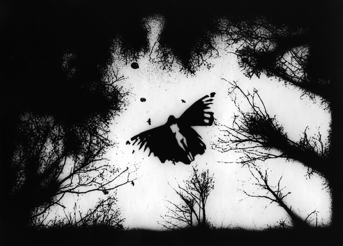 Photographer Alexandr Chernogrivov. Portfolio. Серия "Природоведение" . 2009–2011. Untitled