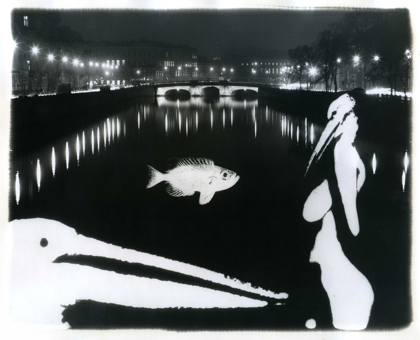 Photographer Alexandr Chernogrivov. Portfolio. Серия "Природоведение" . 2009–2011. Untitled