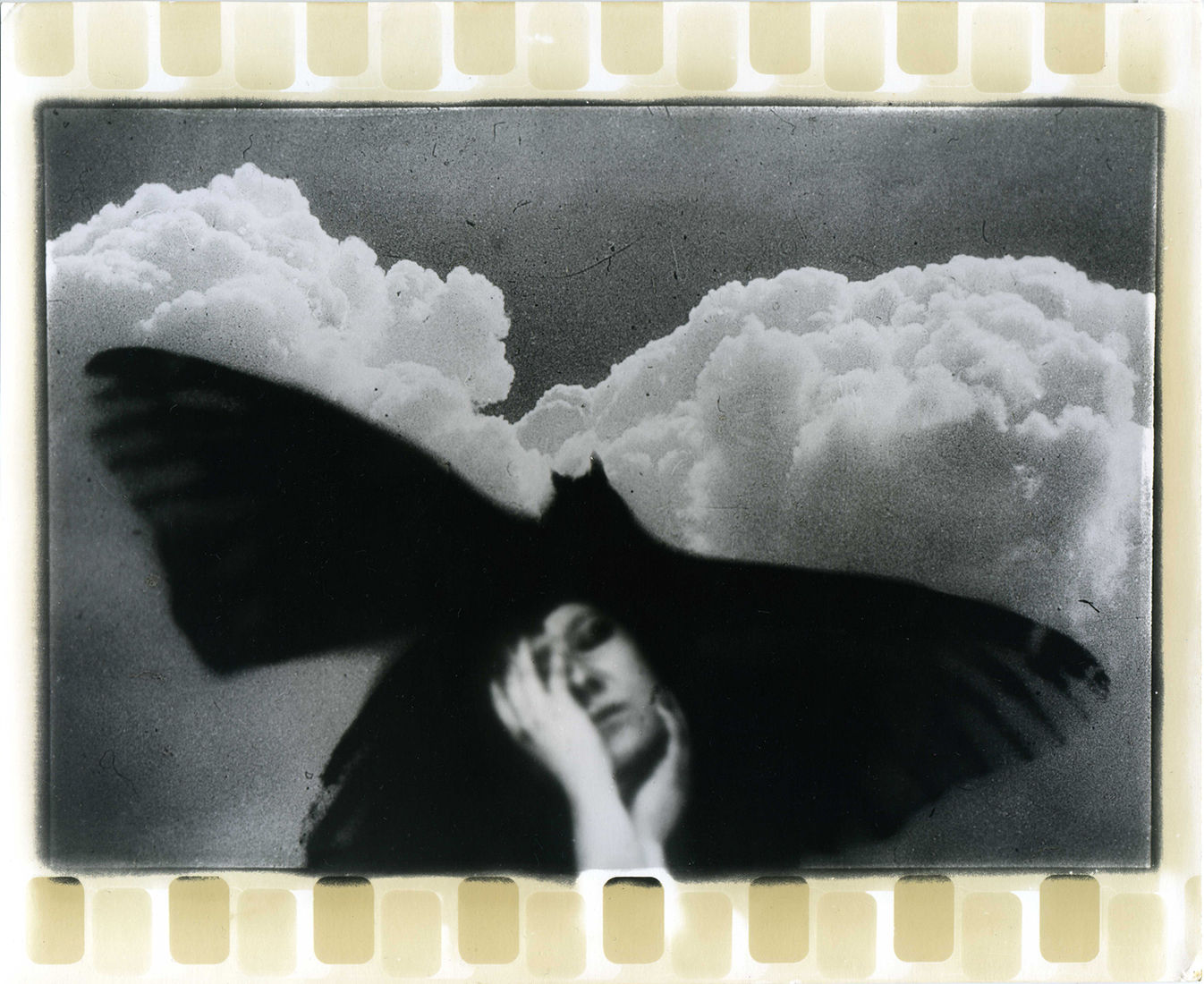 Photographer Alexandr Chernogrivov. Portfolio. Серия "Природоведение" . 2009–2011. Untitled