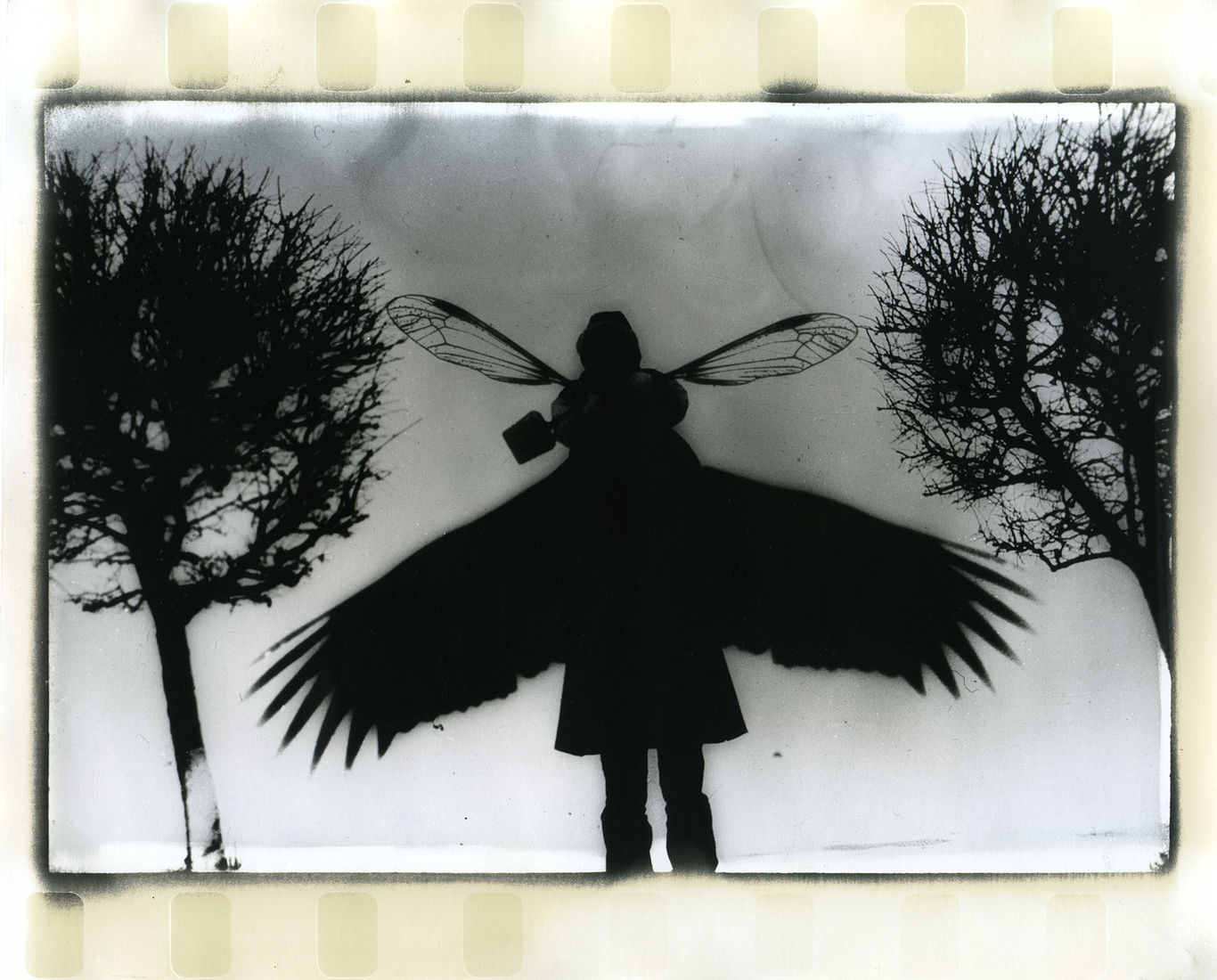 Photographer Alexandr Chernogrivov. Portfolio. Серия "Природоведение" . 2009–2011. Untitled