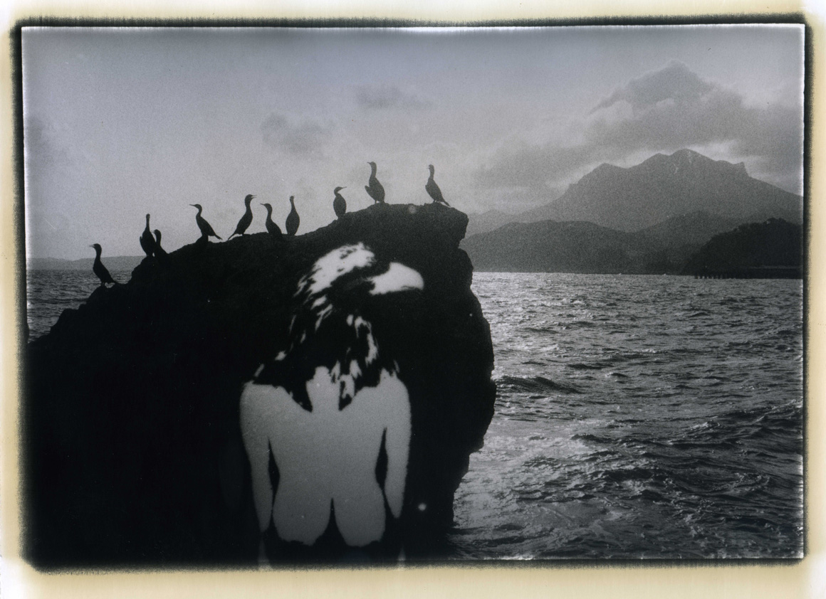 Photographer Alexandr Chernogrivov. Portfolio. Серия "Природоведение" . 2009–2011. Untitled