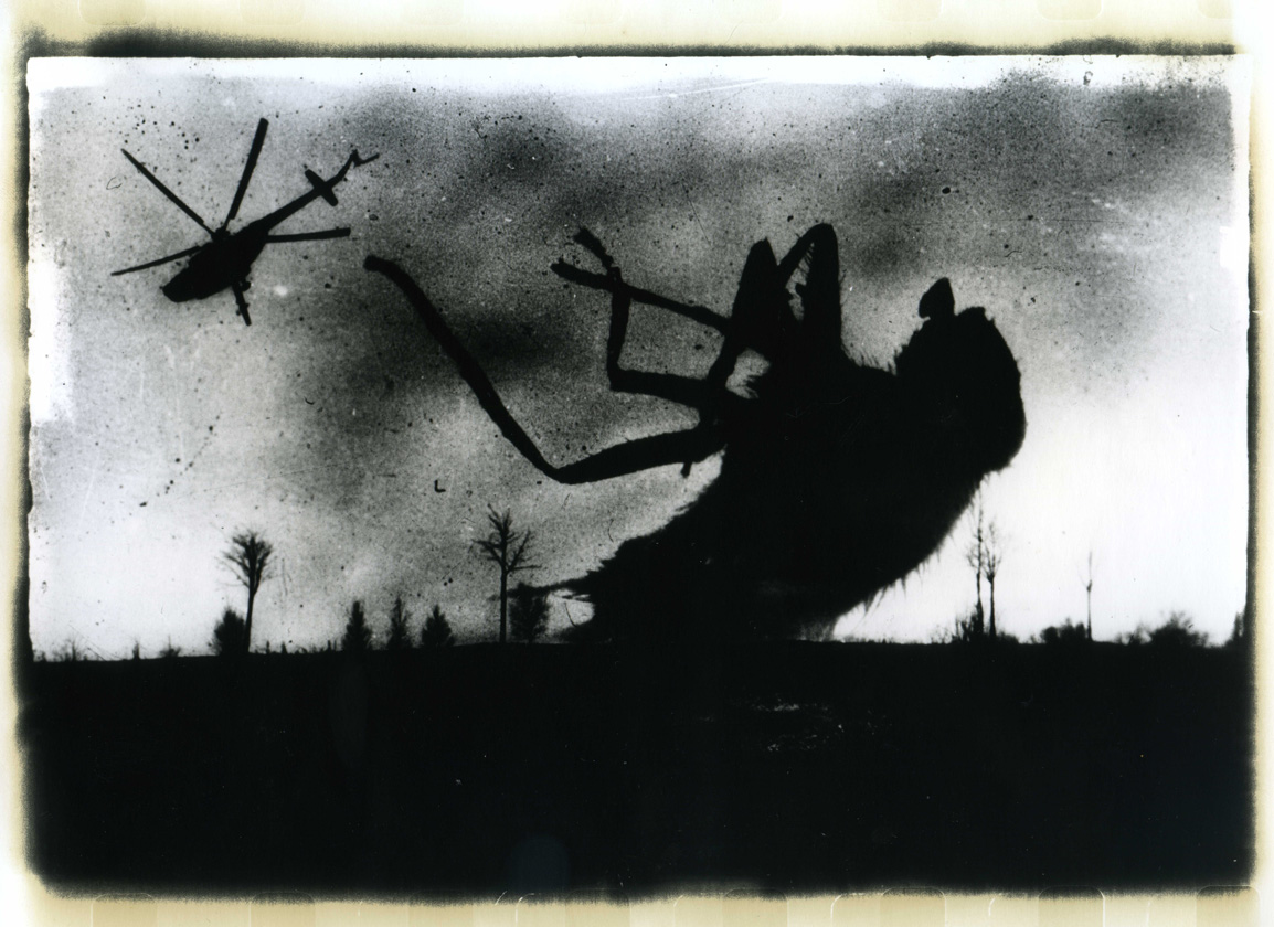 Photographer Alexandr Chernogrivov. Portfolio. Серия "Природоведение" . 2009–2011. Untitled