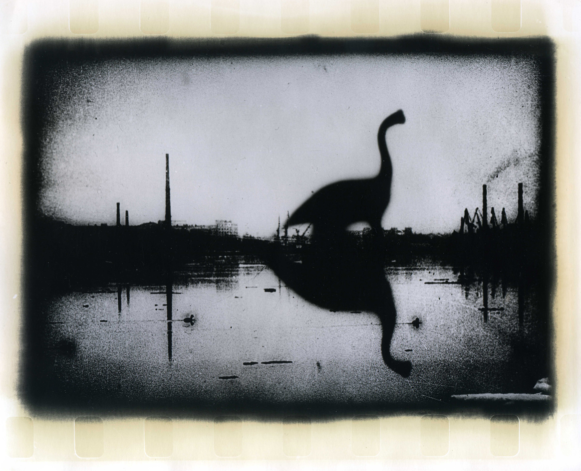 Photographer Alexandr Chernogrivov. Portfolio. Серия "Природоведение" . 2009–2011. Untitled