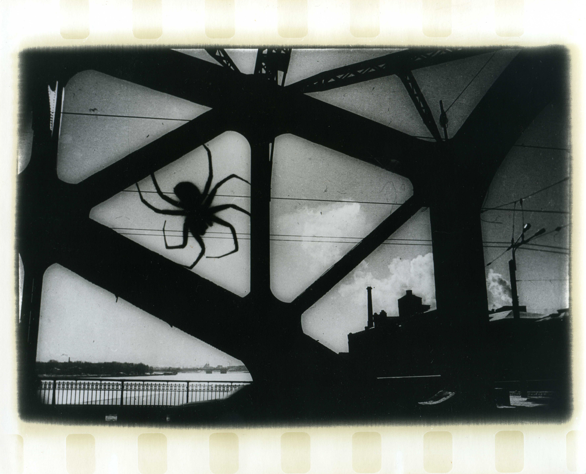 Photographer Alexandr Chernogrivov. Portfolio. Серия "Природоведение" . 2009–2011. Untitled
