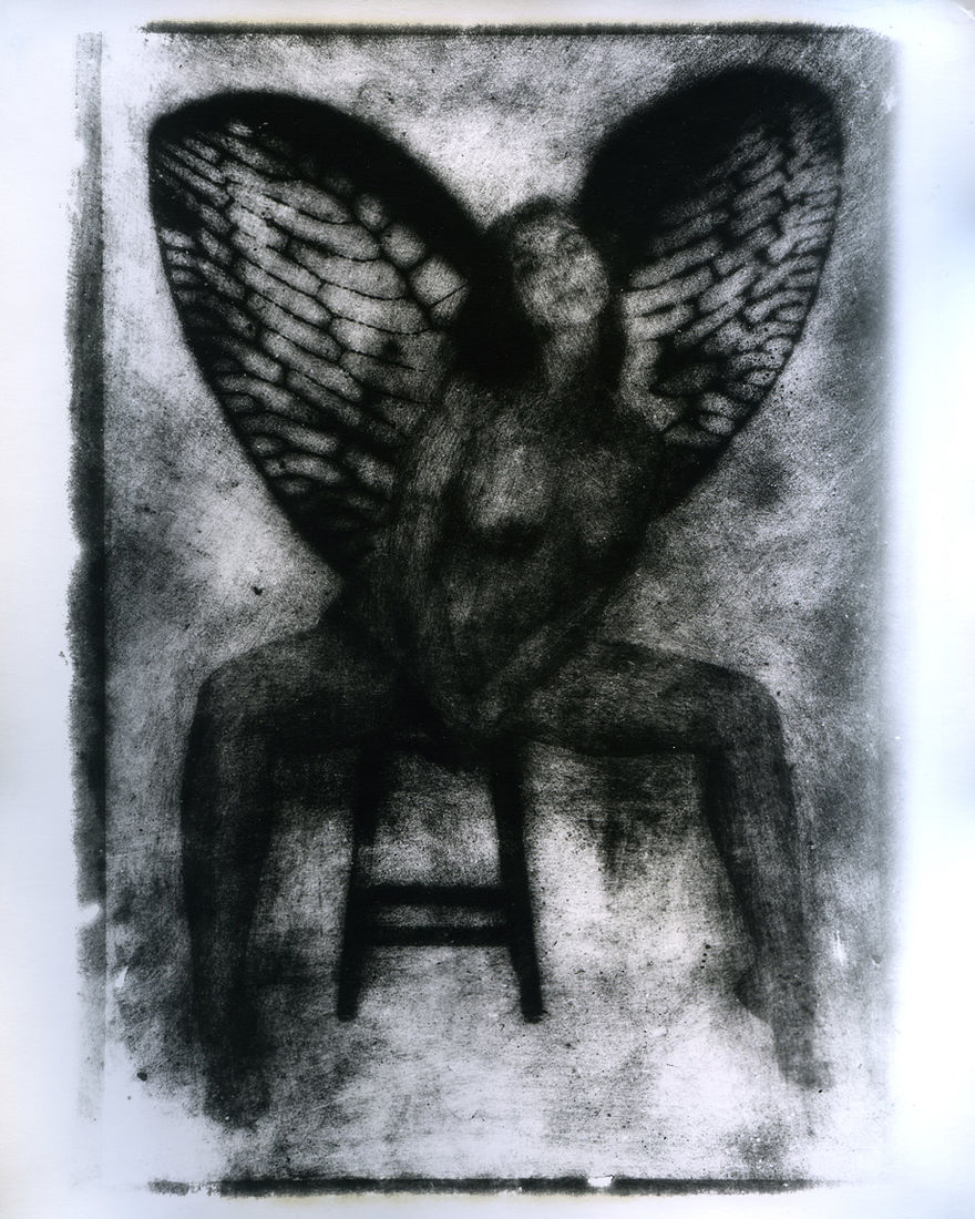 Photographer Alexandr Chernogrivov. Portfolio. Серия "Природоведение" . 2009–2011. Untitled