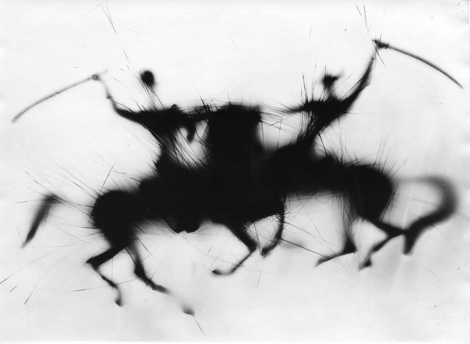 Photographer Alexandr Chernogrivov. Portfolio. Серия "Конница". 2000–2012. Untitled
