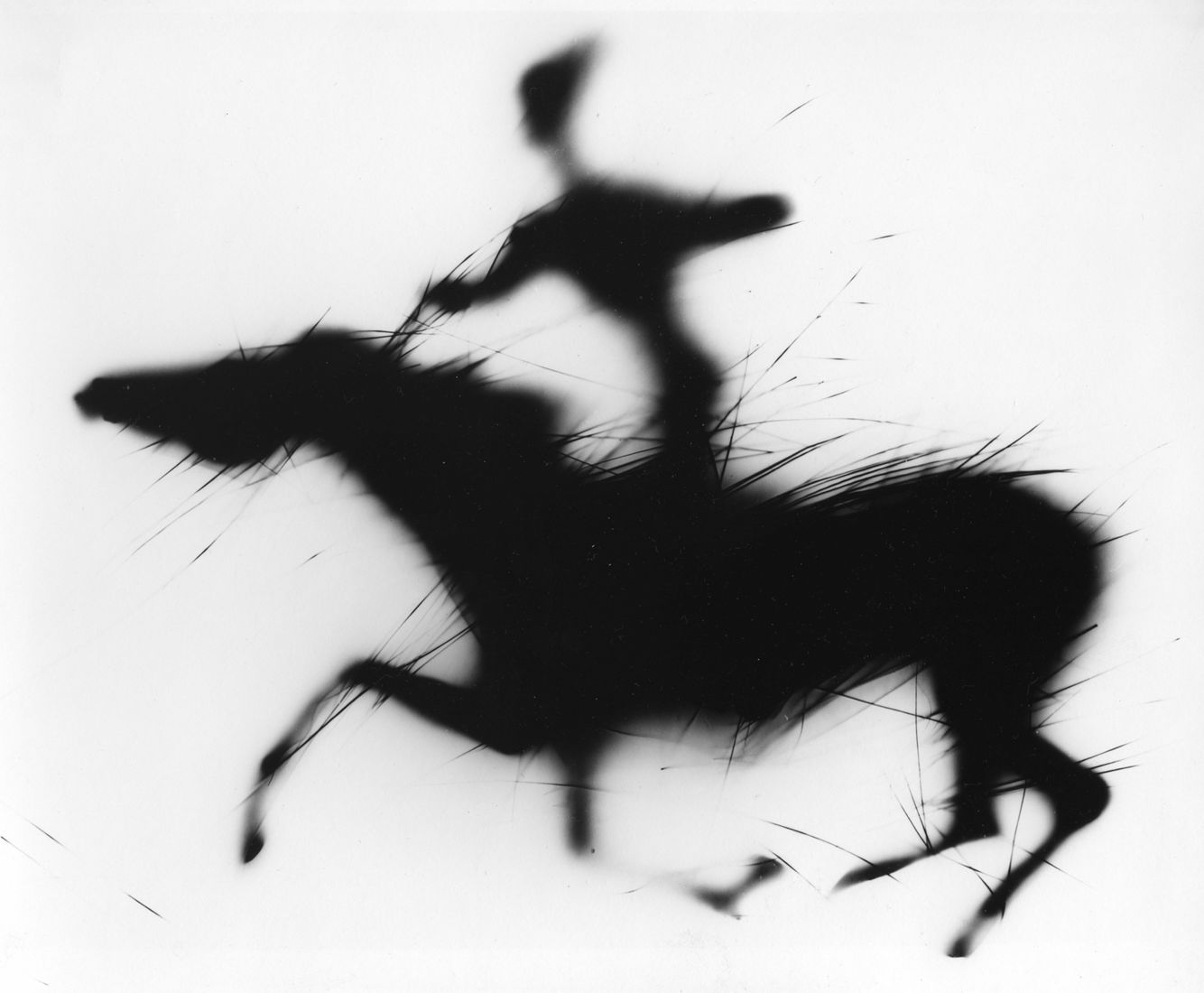 Photographer Alexandr Chernogrivov. Portfolio. Серия "Конница". 2000–2012. Untitled