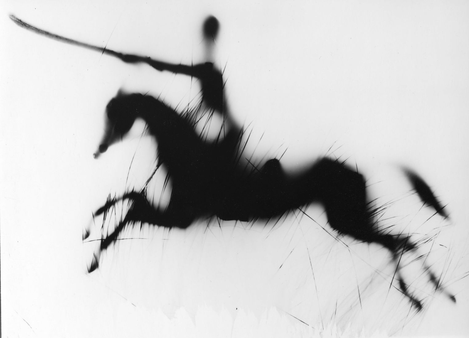 Photographer Alexandr Chernogrivov. Portfolio. Серия "Конница". 2000–2012. Untitled