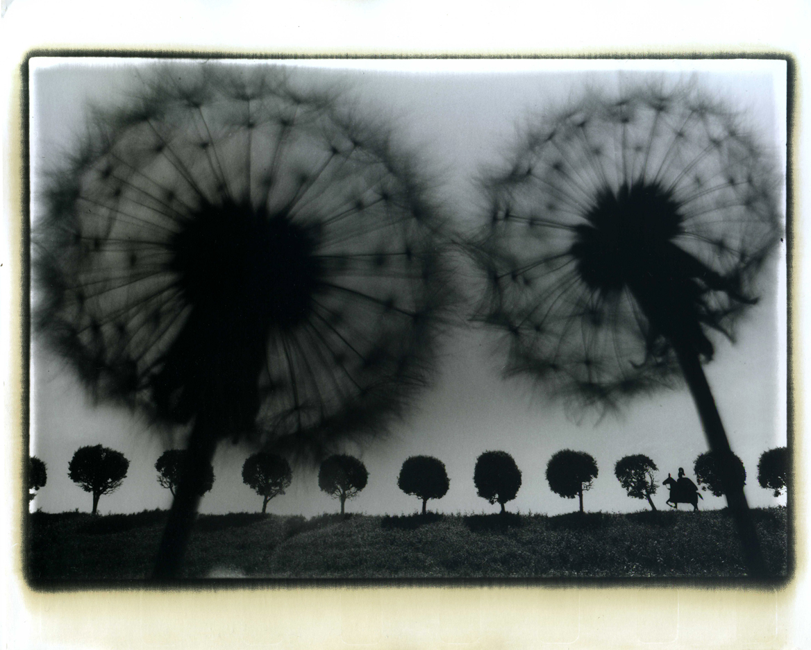 Photographer Alexandr Chernogrivov. Portfolio. Серия "Конница". 2000–2012. Untitled